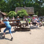 IMG_20220610_123405_1.jpg