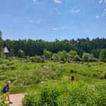 IMG-20220612-WA0011.jpg