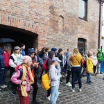 IMG_20220601_115628.jpg