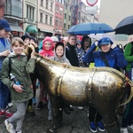 IMG_20220601_125355.jpg