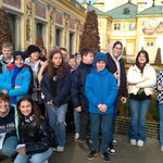 IMG_20221109_105003.jpg