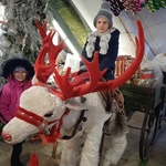 IMG_20221205_162544.jpg