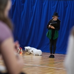 DSCF4406.jpg