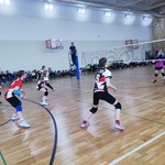 IMG_20230309_130259.jpg