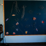Sala biologiczna nr 27