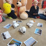 Uczniowie programują Photony_ aby poruszały się w kierunku zdjęć przedstawiających  odnawialne źródła energii.jpg