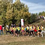 IMG-20241021-WA0004(1).jpg