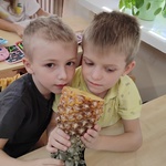 Uczniowie sprawdzają zapach ananasa.jpg