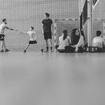 D61_3620-1.jpg