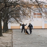 DSC01798-Edit.jpg