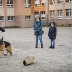 DSC01830-Edit.jpg