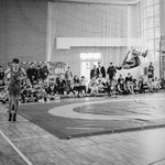 DSC02180-Edit.jpg