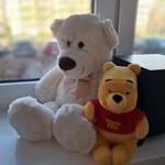 Miś Staszek z Kubusiem Puchatkiem siedzą na parapecie.jpg