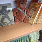 Niedźwiedź Wojtek stoi na półce między książkami.jpg
