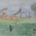 kaligram dog.jpg