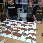 IMG_20200221_103002.jpg