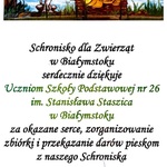 schronisko.jpg