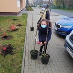 IMG_20201118_151000.jpg