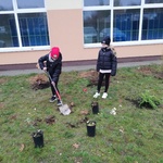 IMG_20201118_150953.jpg