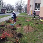 IMG_20201118_150941.jpg