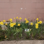 IMG_20210422_125227.jpg