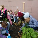 IMG_20201021_092049.jpg