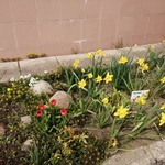 IMG_20210422_125253.jpg