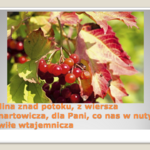 Slajd7.PNG
