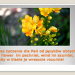 Slajd12.PNG