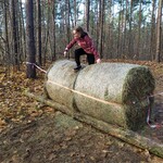 IMG_20211109_114702.jpg